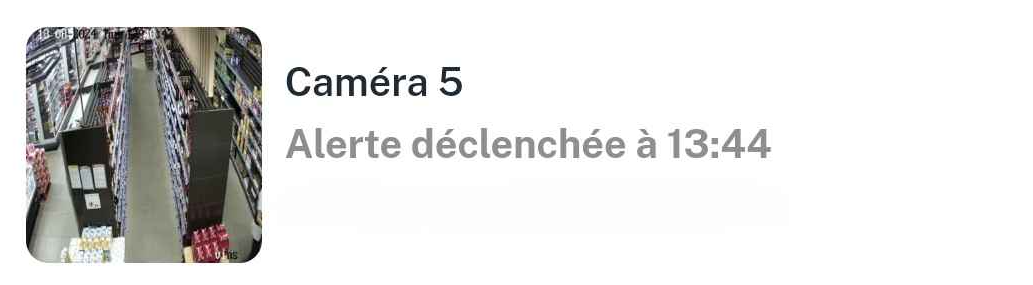 Notification mobile d'alerte de vol détecté en temps réel